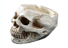 Пепельница Череп LESD1315, белая керамическая, размер 9*10 см.