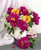 Картина по номерам Paintboy GX38003, холст на подрамнике, 40x50 см