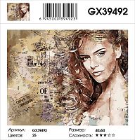 Картина по номерам Paintboy GX39492, холст на подрамнике, 40x50 см