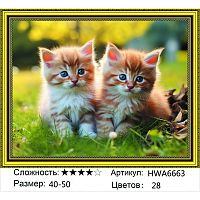 Алмазная мозаика Painting Diamond HWA6663, холст на подрамнике, круглые стразы, 40x50 см