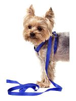 Поводок со шлейкой для кошек и собак PET SUPPLIES 6393, размер 25 мм х 120см, шлейка 40-60 см