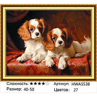 Алмазная мозаика Painting Diamond HWA5538, холст на подрамнике, круглые стразы, 40x50 см