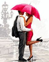 Картина по номерам Paintboy GX8042, холст на подрамнике, 40x50 см