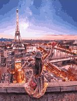 Картина по номерам Paintboy GX34558, холст на подрамнике, 40x50 см