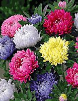 Картина по номерам Paintboy GX31230, холст на подрамнике, 40x50 см