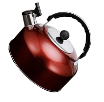 Чайник BOUILLOIRE со свистком 2,3 л