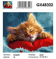 Картина по номерам Paintboy GX48302, холст на подрамнике, 40x50 см